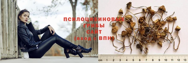 спайс Алексеевка