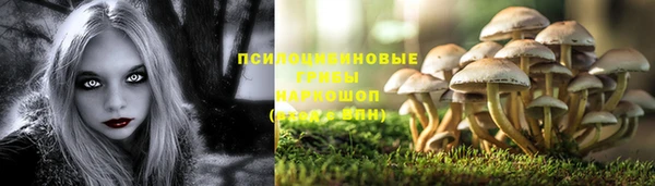 спайс Алексеевка