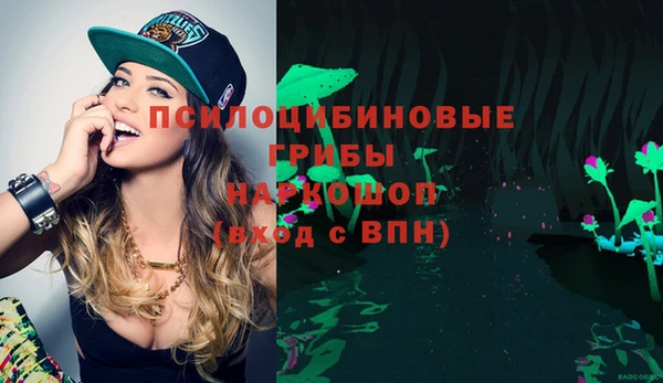 соль курить ск Алзамай