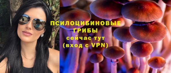 соль курить ск Алзамай
