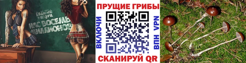 Псилоцибиновые грибы ЛСД  Слободской 
