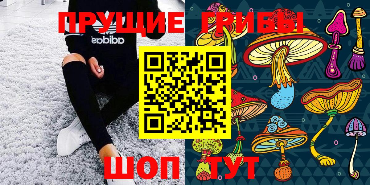 Псилоцибиновые грибы Psilocybe  Вход с VPN  Слободской 