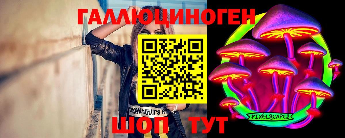 Галлюциногенные грибы Psilocybe Слободской